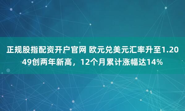 正规股指配资开户官网 欧元兑美元汇率升至1.2049创两年新高，12个月累计涨幅达14%