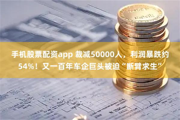 手机股票配资app 裁减50000人，利润暴跌约54%！又一百年车企巨头被迫“断臂求生”